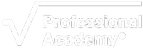 Professional Academy